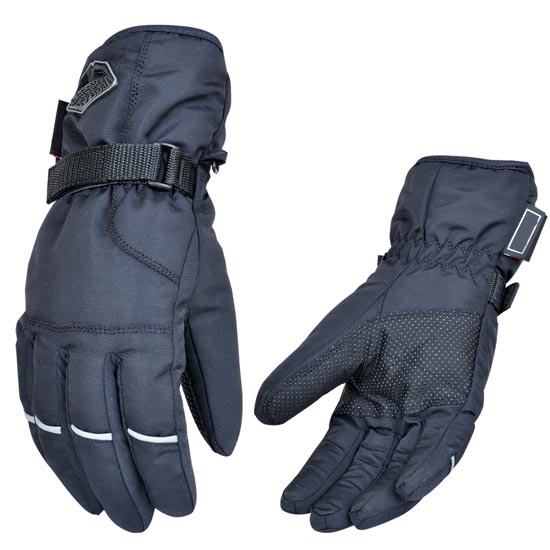 Winter Glove