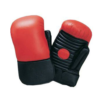 Coaching Mitts 